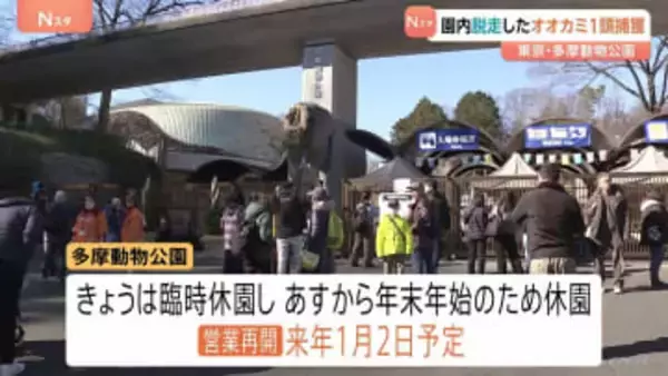 園内脱走したオオカミ1頭を捕獲　多摩動物公園　園はきょう（28日）臨時休園　年内の営業は終了　営業再開は1月2日予定　東京・日野市