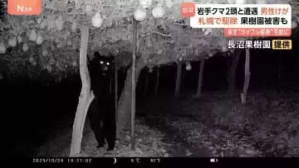 きょうも各地でクマ出没　岩手で犬と散歩中の男性が2頭と遭遇しけが　札幌ではヒグマ駆除　山形の名産品被害に“複雑”な思いも…