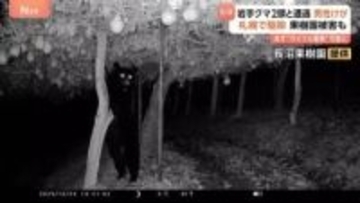 きょうも各地でクマ出没　岩手で犬と散歩中の男性が2頭と遭遇しけが　札幌ではヒグマ駆除　山形の名産品被害に“複雑”な思いも…