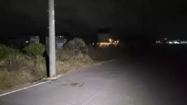 軽乗用車が電柱に衝突　90代女性2人が死亡　デイサービスの送迎中　千葉・東庄町