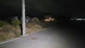 軽乗用車が電柱に衝突　90代女性2人が死亡　デイサービスの送迎中　千葉・東庄町