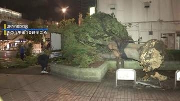 “逆走”台風15号　茨城で3人けが　各地で倒木や足場崩落も