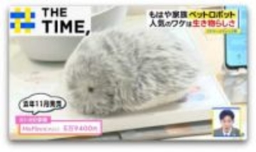 高額でもナゼ人気？「ペットロボット」…生き物のような“もふもふ”にメロメロ【THE TIME,】