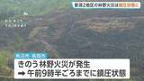 「火災相次ぐ　新潟でも…魚沼市・長岡市の林野火災では70代男性1人やけど　いずれもほぼ消し止められる」の画像1