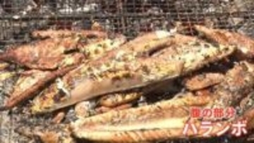 今が旬！初カツオが安い 「去年より200～300円くらい安く提供できている」 燃料高騰で打撃も…豊漁の高知では大行列！ 地元で人気の「ハランボ」とは