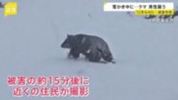 “最強寒波”到来！各地で初雪を観測 「1か月予報発表」クリスマス・年末年始の天気は？雪かき中のクマ被害も発生【news23】
