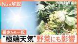 「“極端天気” 異例の暑さから一転…21日（木）から気温急降下、24日（日）頃から1週間 “10年に1度”の著しい高温【Nスタ解説】」の画像1