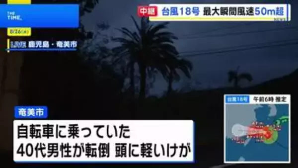 【台風18号】徳之島で最大瞬間風速54.5メートル 奄美地方では約3万4000戸で停電続く