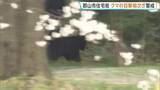 「クマ住宅街で目撃相次ぐ「公園の方からイヌかと思ったらものすごい勢いで泳いで…」近くの小学校は登校自粛を呼びかけ【福島】」の画像1