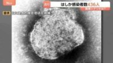 今年のはしか感染者数436人に　去年の約4.5倍のペースで拡大　感染のピークは4月中旬から6月下旬と推定 最悪の場合1年間で1600人超に達する可能性も