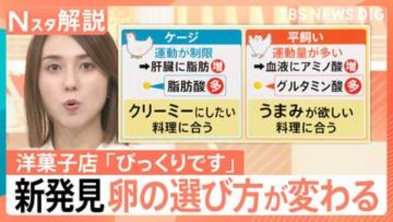 プリンには「ケージ飼い」、茶碗蒸しには「平飼い」…鶏の飼育方法で卵の味に変化　料理に合わせて使い分けが可能に？【Nスタ解説】