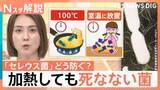 「“チャーハン症候群”にご注意！ においや味で見分け困難…熱に強い食中毒菌 対策は？【Nスタ解説】」の画像1
