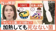 “チャーハン症候群”にご注意！ においや味で見分け困難…熱に強い食中毒菌 対策は？【Nスタ解説】