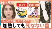 “チャーハン症候群”にご注意！ においや味で見分け困難…熱に強い食中毒菌 対策は？【Nスタ解説】
