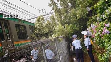 東京・北区の公園で倒木 “湘南新宿ライン”の電車と接触　一時運転見合わせる　けが人なし