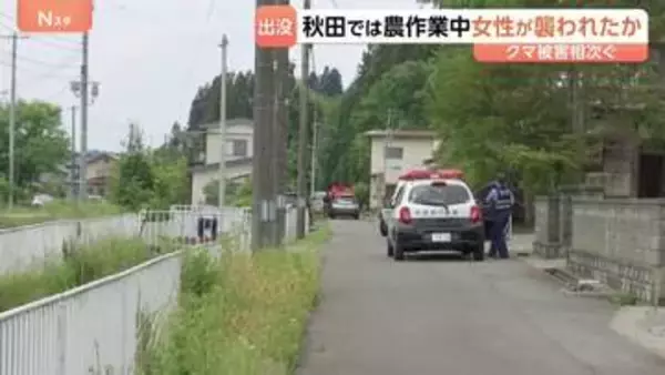 激しい損傷　秋田市河辺の山林で73歳女性の遺体見つかる　農作業中に襲われたか　付近でクマ1頭駆除