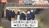 「「イヌかと思ったら…」住宅街にクマ出没 花火使って追い払い　福島・郡山市で目撃相次ぐ」の画像1