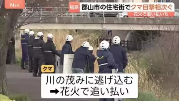 「イヌかと思ったら…」住宅街にクマ出没 花火使って追い払い　福島・郡山市で目撃相次ぐ