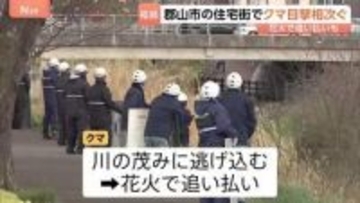 「イヌかと思ったら…」住宅街にクマ出没 花火使って追い払い　福島・郡山市で目撃相次ぐ