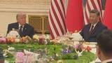 「米中首脳会談の晩さん会 トランプ氏お気に入りの「YMCA」が演奏　英「インディペンデント」報道」の画像1