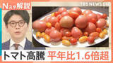「「いま400円ぐらい」もはや高級野菜…“トマトショック”　高値はいつまで続く？【Nスタ解説】」の画像1