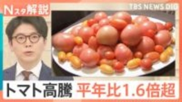 「いま400円ぐらい」もはや高級野菜…“トマトショック”　高値はいつまで続く？【Nスタ解説】