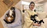 「【 藤あや子 】「あれから2年」「他の臓器への転移もなく」　子宮体がんの手術を乗り越えて「この日を迎えられたことは決して当たり前ではない」感謝と決意新た」の画像1