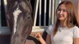 「【 紗栄子 】引退競走馬を〝新しい家族〟に　自身のファームで迎え入れ「これからは人を乗せてゆっくり歩く練習」　競走馬に〝第二の人生〟を」の画像1