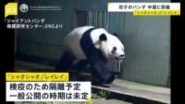 パンダが中国に到着 「シャオシャオ」と「レイレイ」四川省の保護センターへ　沿道には日本人の姿も