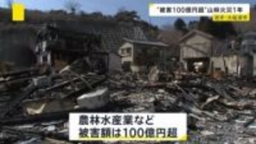 岩手・大船渡の大規模山林火災から1年　被害総額100億円…延焼範囲は平成以降最大に　地元企業は再建に向け動き