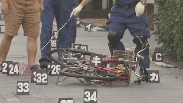 埼玉・新座市の死亡ひき逃げで近くに住む34歳の男を逮捕　破損した軽トラックが“移動された”旨を警察官に申し出　容疑については「記憶がない」と否認