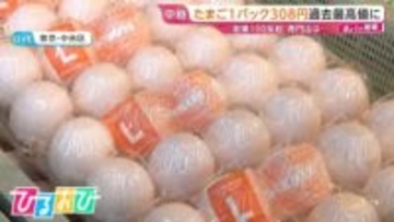 “エッグショック”が常態化！？たまご1パック308円　価格はいつ落ち着く【ひるおび】