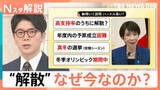 「なぜ今？高市総理が解散表明へ　争点に“消費税ゼロ”浮上　基本政策「中道」は立憲が“歩み寄り”？【Nスタ解説】」の画像1