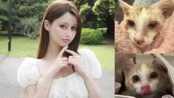 【ダレノガレ明美】虫取り網で保護した子猫「ララ」くんの現在を報告！ わずか10日で見違える姿にファン大絶賛「本当にキレイになった」