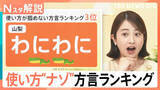 「方言「わにわに＝ふざける」「ちゅんちゅん＝熱い」　意外な意味の「だいてやる」で“攻めた”活用も【Nスタ解説】」の画像1