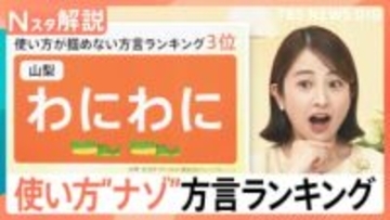 方言「わにわに＝ふざける」「ちゅんちゅん＝熱い」　意外な意味の「だいてやる」で“攻めた”活用も【Nスタ解説】