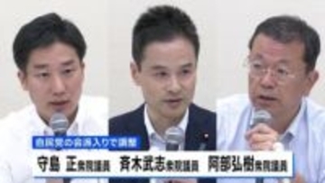 衆議院で与党過半数に達する見通し　元維新3人が自民会派入りで調整