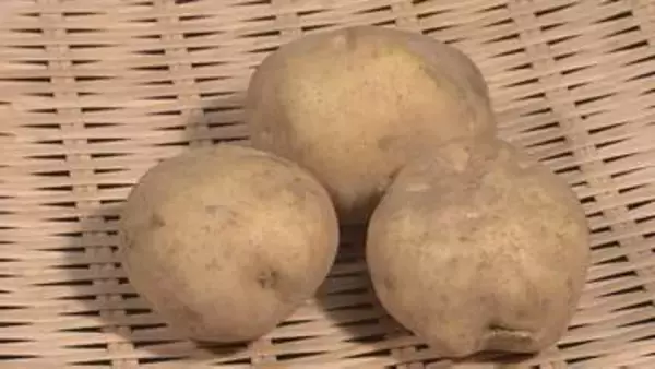 来月前半は「じゃがいも」「たまねぎ」が平年より1割から3割ほど高い見通し　イラン情勢の影響は聞かれず　農水省