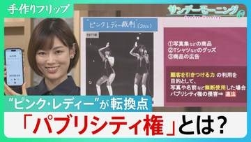 ピンク・レディーが“礎”の「パブリシティ権」…判決が与えた「声の権利」を守るための強力な武器とは？【サンデーモーニング】