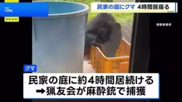 クマが民家の庭に4時間、猟友会が麻酔銃を使って捕獲　長野・安曇野市