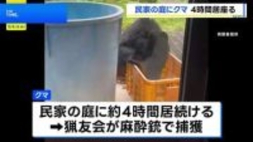 クマが民家の庭に4時間、猟友会が麻酔銃を使って捕獲　長野・安曇野市