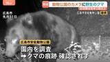 「クマの出没件数 去年同月比2倍超！全国で目撃されるクマ！もし襲われたらどうすれば？被害にあった男性から聞く、身を守る術とは？」の画像1