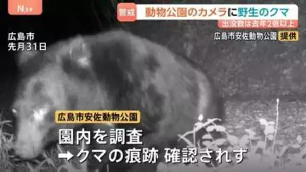 クマの出没件数 去年同月比2倍超！全国で目撃されるクマ！もし襲われたらどうすれば？被害にあった男性から聞く、身を守る術とは？