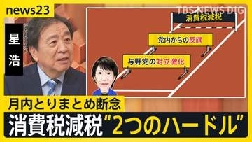 【消費税減税】月内とりまとめ断念「消費税1％」の行方は？　終盤国会が空転…議員定数削減や“中傷動画”答弁めぐり野党側が反発【news23】