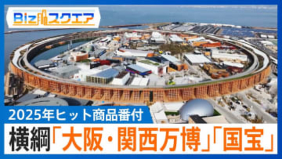 “謎の動画”「イタリアンブレインロット」から「シール交換」まで…ヒット商品からみる2025年の消費【Bizスクエア】