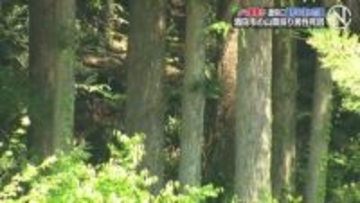 クマが襲ったか、遺体に歯形や深い爪のあと　山中で発見の遺体、山菜採りに出て行方不明の78歳男性と確認  山形・酒田市