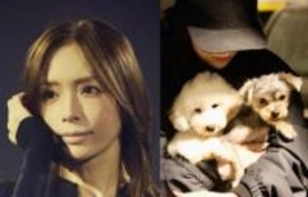 【 浜崎あゆみ 】　愛犬とのショットに　ファン反響　「可愛い♥癒される」「見てるだけで幸せですっっ♥」