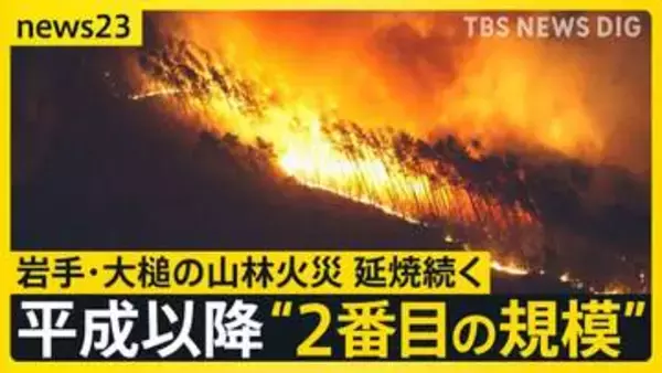 「全然寝られない」岩手・大槌の山林火災　延焼続き平成以降“２番目の規模”に　牛舎が燃えた畜産家は牛残せぬ苦悩も【news23】