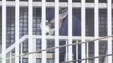 「大阪・ミナミのホテルに女性遺体　強盗殺人容疑で29歳男を逮捕」の画像1