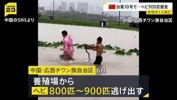 800～900匹のヘビが養殖場から逃げ出す コブラにかまれた女性死亡 中国・広西チワン族自治区で台風10号の豪雨による洪水発生
